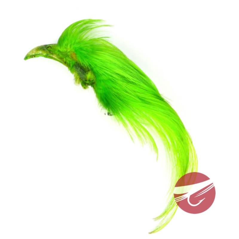 Hareline Dyed Golden Pheasant Crest