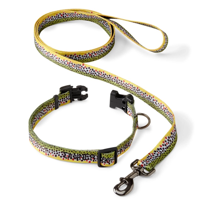 Orvis Adjustable Dog Collar with Leash