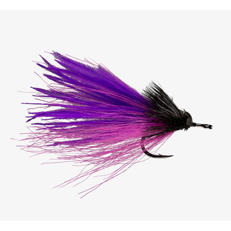 Dread Pirate – Rio Fly|Tan