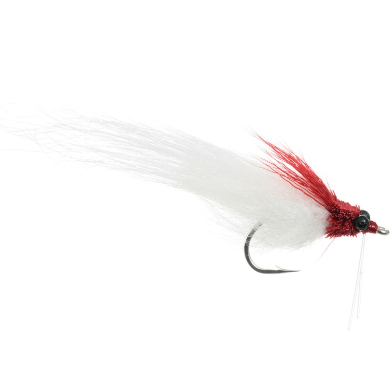 Student’s Fishalicious – Umpqua Fly