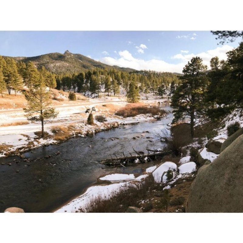 South Platte River Custom Fly Selection