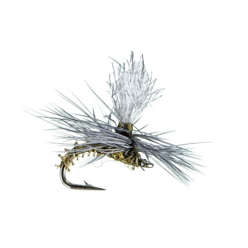 Christiaens’ GT Adult – MFC Fly