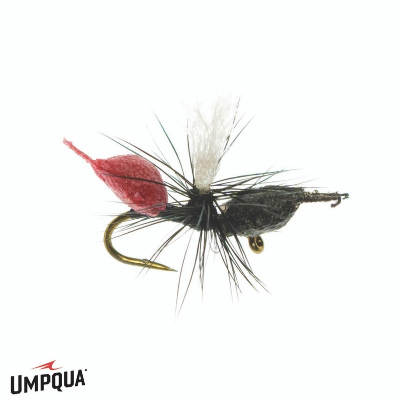 Cupboard Ant – Umpqua Fly|Black and Red|Black|Size 16