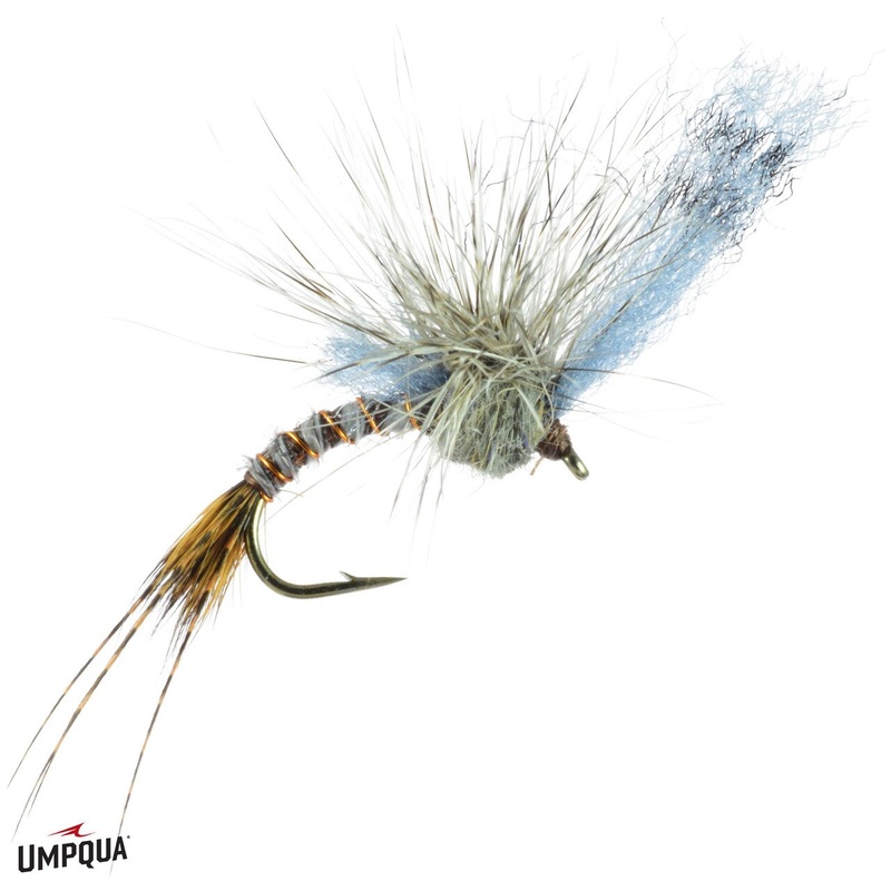 Quigley’s Film Critic – Drakes – Umpqua Fly