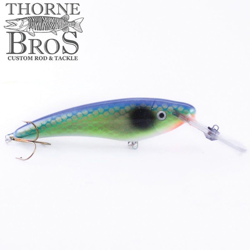 Slammer 6 Deep Shad|TB Bluegill|TB Holo Lemon Head|TB Michigan Perch|Firetiger|Golden Shiner|Minnesota Cisco|Perch|Shiner|Sucker|Walleye