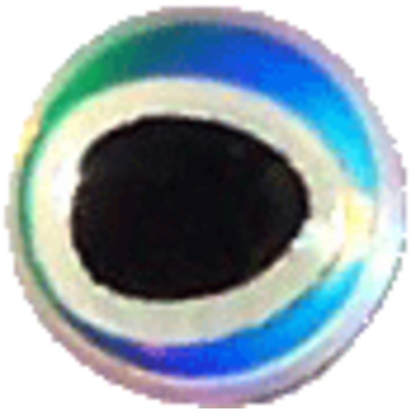 WTP 3D Molded Oblong Eyes|1/4″ 35pk|3/16″ 36pk|3/8″ 24pk|5/16″ 32pk|Hot Yellow|Pearl|Red|Silver