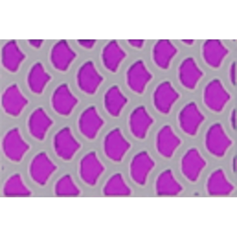 WTP Lure Tape-Open Scales (3 Pack)