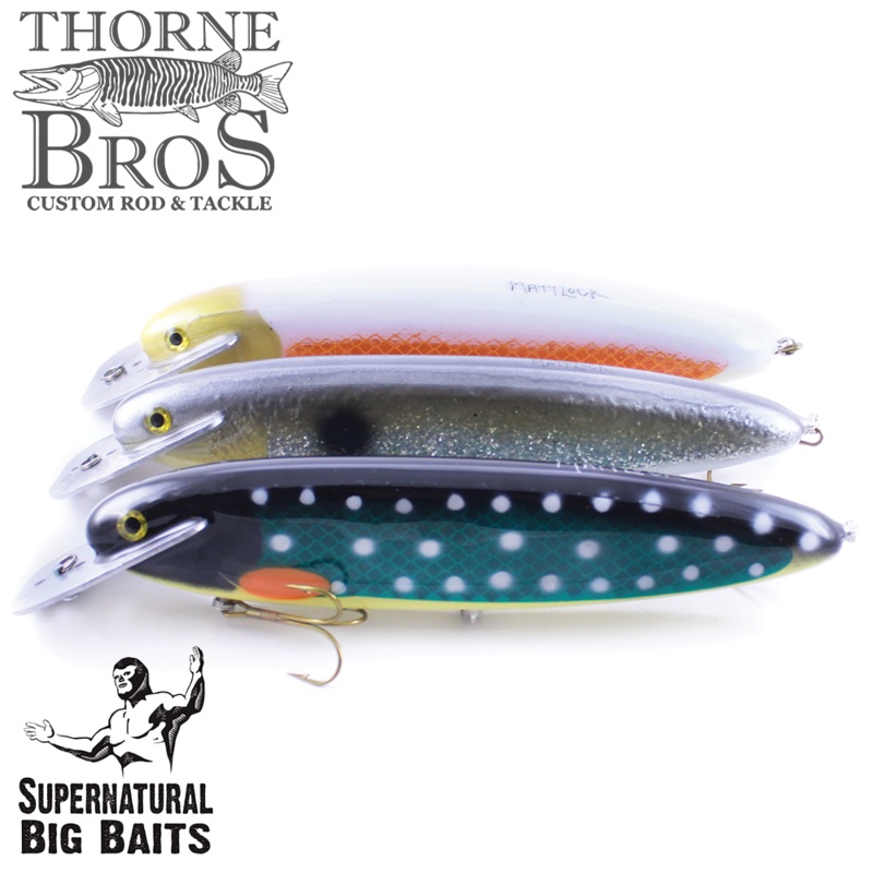 Supernatural Mattlock-12|TB 3M Largemouth|TB MN Cremesicle|TB Lemontail Flash|TB 3M Pike|TB Foil Rough Rocks Revenge|TB Foil Mother Of Pearl|TB Charged Cisco|Black Rice|Gold Glitter Perch|Walleye|Moosehorns Revenge|Orange Carp|Shad