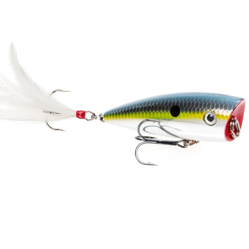 Strike King KVD Splash Popper|KVD Splash JR. (2.25″)|KVD Splash (3″)|Chrome Sexy Shad|Bone|Clear Minnow|Chrome Blue