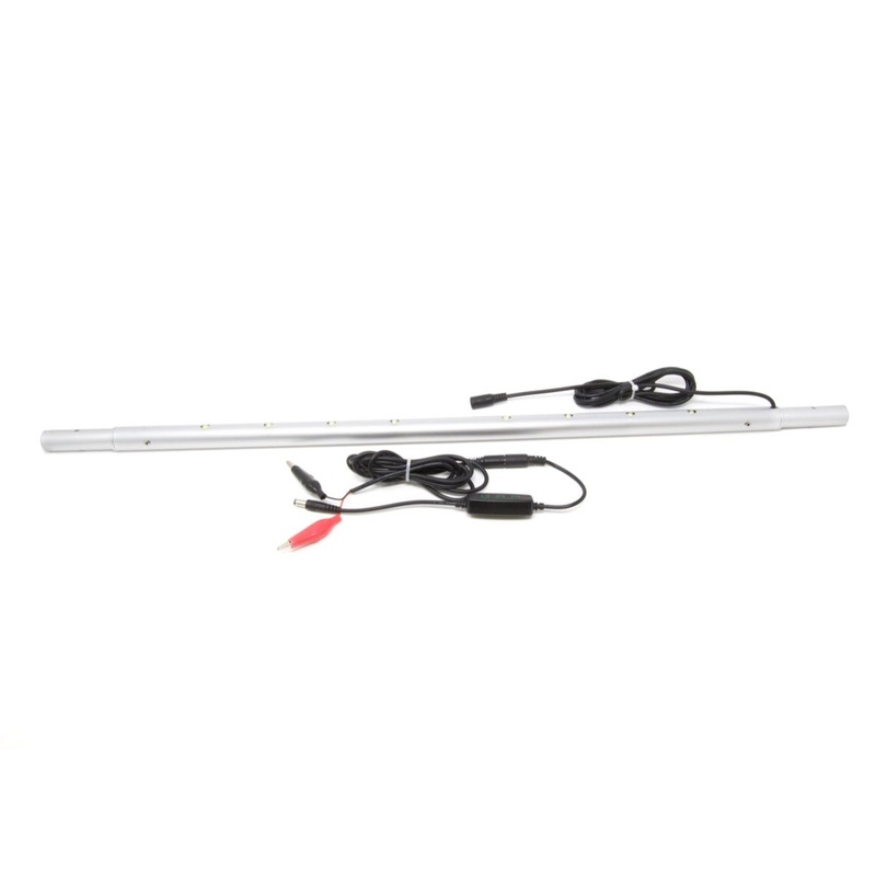 Clam Light Sticks|Mini|Small|Large