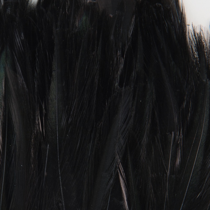 Wapsi Strung Neck Hackle|Black|White|Yellow|Fluorescent Chartreuse|Red|Fluorescent Orange|Fluorescent Yellow|Fluorescent Green|Olive|Peacock Blue|Fluorescent Pink|Purple|Barred Natural