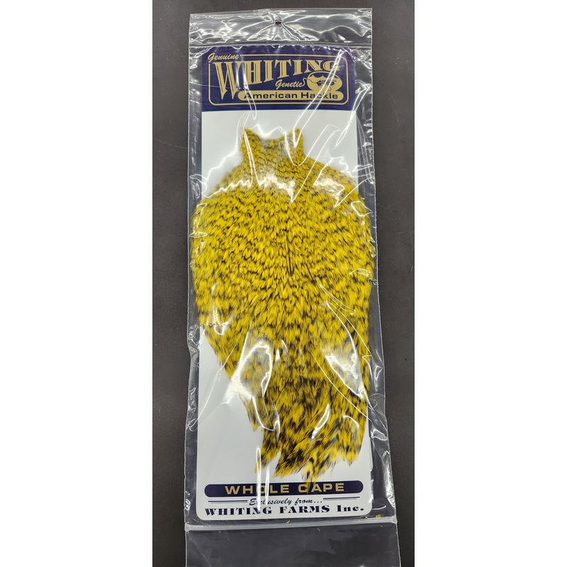 Whiting American Rooster Cape|Brown|Grizzly Yellow|Black|Grizzly Orange|Grizzly|Grizzly Tan|White|Grizzly Purple|Grizzly Olive|Grizzly Brown
