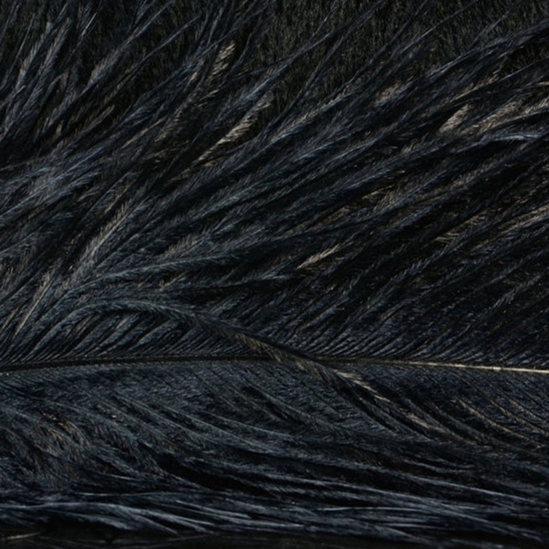Hareline Ostrich Herl|Black|Brown|Chartreuse|Fluorescent Cerise|Fluorescent Orange|Kingfisher Blue|Light Gray|Olive|Pink|Purple|Red|Scud Gray/Olive|Scud Orange|Scud Tan|White