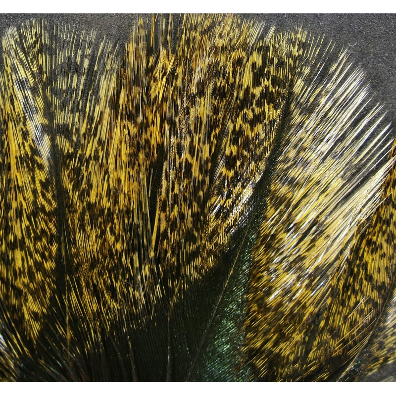 Hareline Coq De Leon Feathers|Medium Speckled Pardo|Barred Speckled Aconchado|Ginger Speckled Flor De Escoba|Brown|Fl. Hot Pink|Dun|Light Dun|Light Speckled Pardo