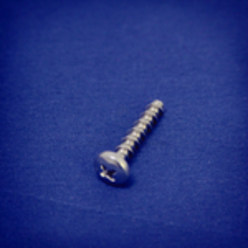 Minn Kota SCREW-#10 X 1.0 PPH HI-LO SS P/N:3393480