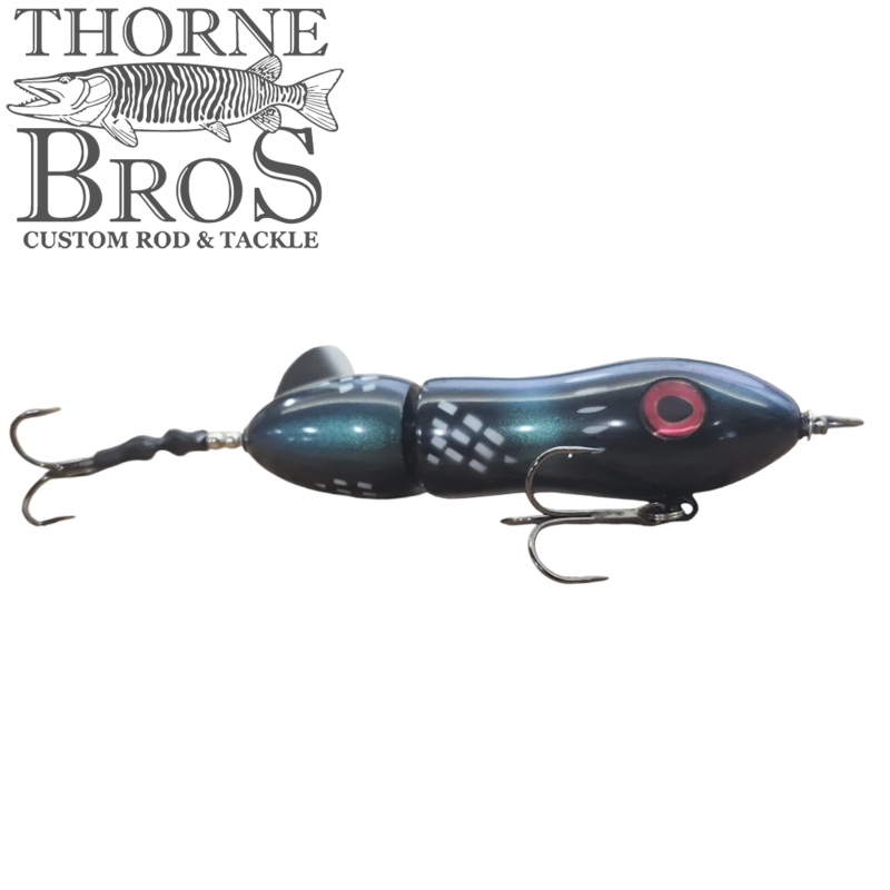 Big Mama Lil’ Sister|Black Orange|Loon|Firetail|Firetiger|Black|Bone|Lemon Head