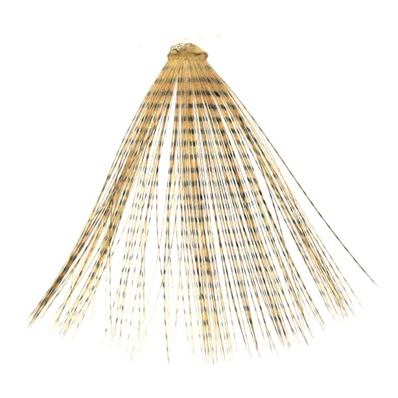 MFC Micro-Barred Fibbetts|Tan/Barred Black|Brown/Barred Black|White/Barred Black|Dun/Barred Blacl