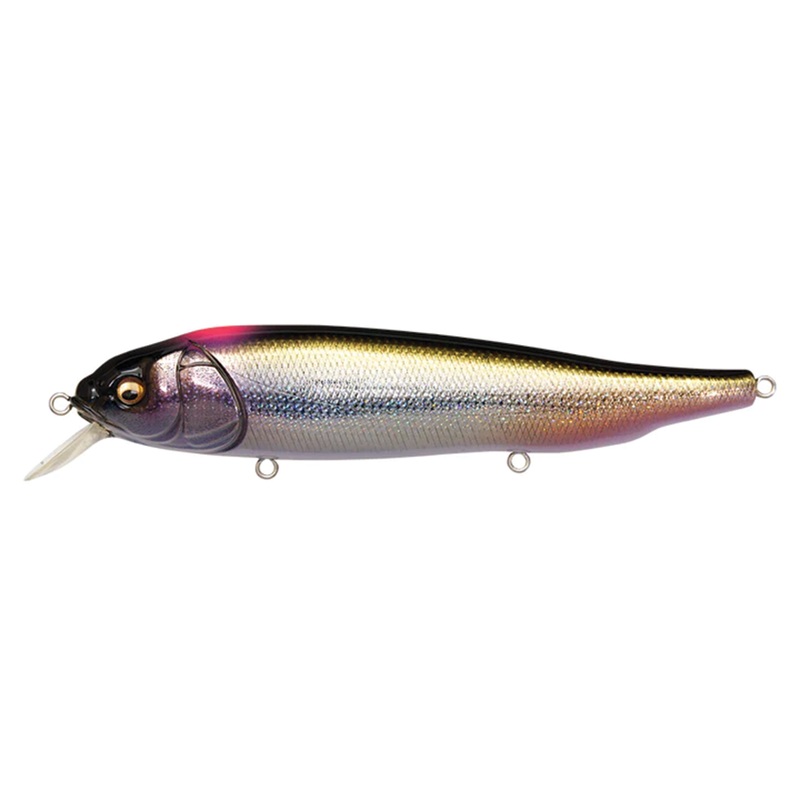 Megabass LATES Feeding Woofer|DD Indicator Shiner|DD Silver Shad|FA Kawamutsu|GG Hasu Red Eye|GP Aurora Gill|GG Kinkuro Perch|HT Wakasagi|ITO-Kinari|Mat Tiger|PM Tsukimi Ochi Ayu|PM Waka Ayu|Wagin Oikawa