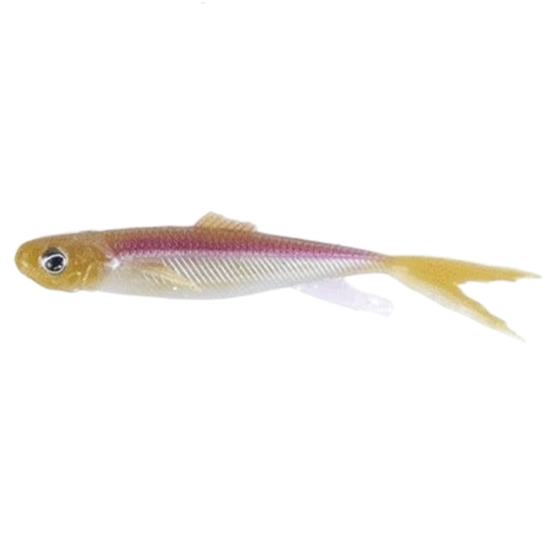 Signal Multi Shad|Wakasagi (Elastomer)|Co Ayu (Elastomer)|Hasu (Elastomer)|Brown Shad (PVC)|4″ (4 Pack)