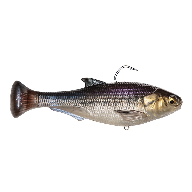 Z-Man Shadtron LT|4.5″ – Fast Sink|4.5″ – Slow Sink|6″ – Fast Sink|6″ – Slow Sink|Gizzard Shad|Threadfin Shad|Sight Flash|Glimmer Shad|Fishbone
