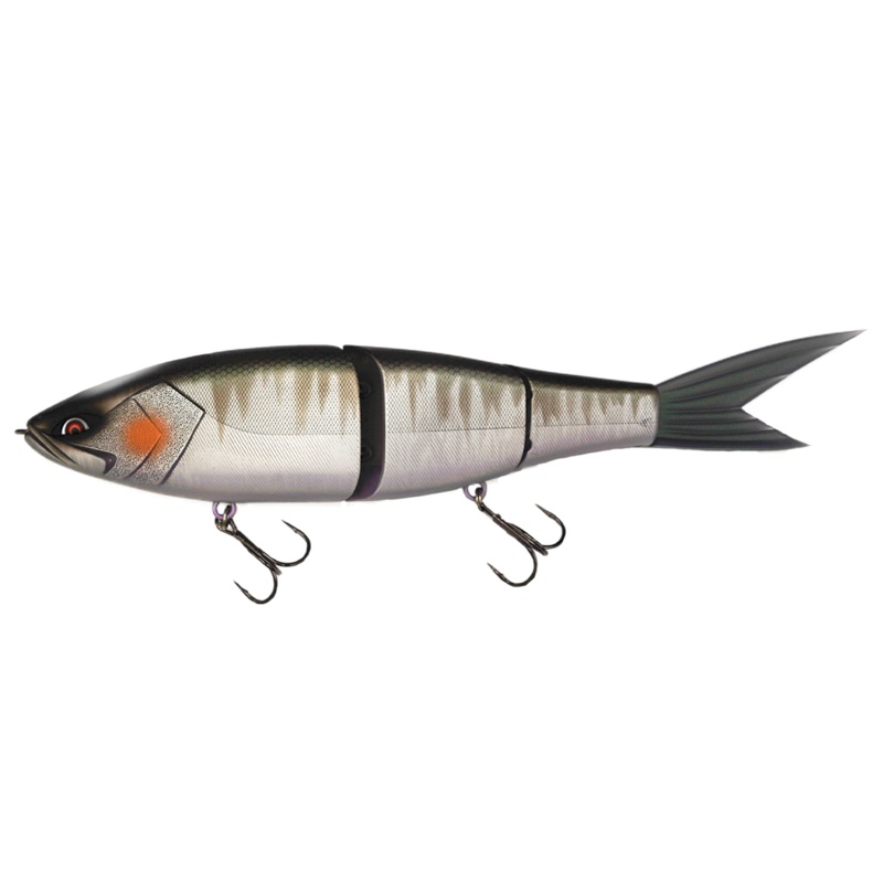 Galpagos Grace 280F|280mm|Ibushi Hasu|Lake Biwa Special|Hagura Flash|Chartreuse Girahasu