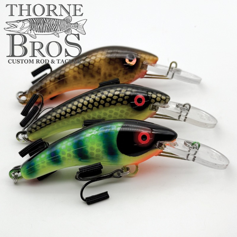 Blue Water Baits 5 K.O. Shad|Classic Perch|Hot Perch|White Belly Perch|Fluorescent Bluegill|Hot Black Sucker|Orange Belly Walleye|Mustard|Goldie|Brown Perch