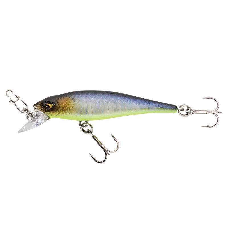 Caperlan MNW 50 SP – Shallow Diving