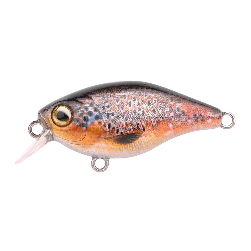 Ikiru Mini Crank 38F SL|Brown Trout|Carp|N Chart Back|Perch|Roach|Rudd|Shirazu|Zander