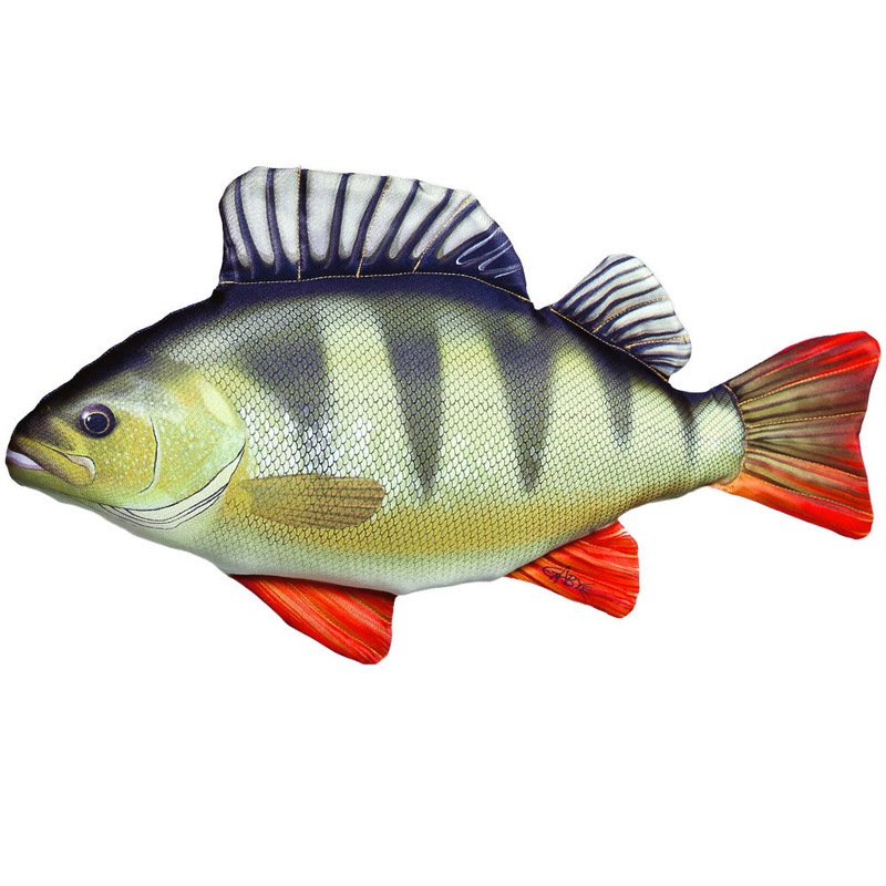 Fischkissen Flussbarsch|32 cm|50 cm