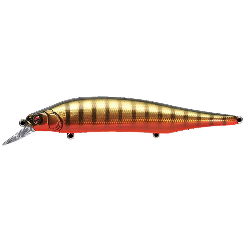 Ito Shiner|Mat Tiger|GBS