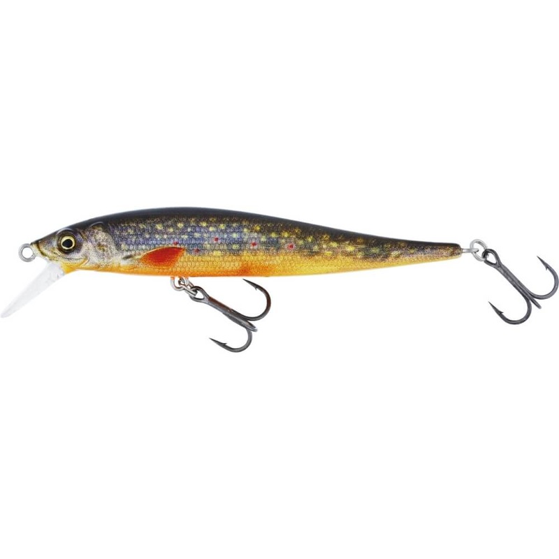 JerkBite SR|7.5 cm / 5 g|9.0 cm / 8.0 g|11.0 cm / 13.5 g|13.5 cm / 22.0 g|Brook Trout Fry|Brown Trout Fry|Firetiger Flash|Gold Chrome|Headlight|Hot Shad|Olive Minnow|Real Perch|Firetiger|Ghost Hunter|Lean Bream (H&B Edition)|Motoroil Burbot|Real Roach|Rea