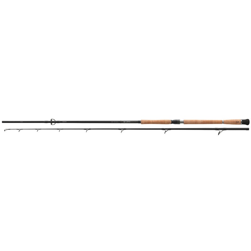 Pro Staff Catfish Spin|2.60 m | 80-240 g