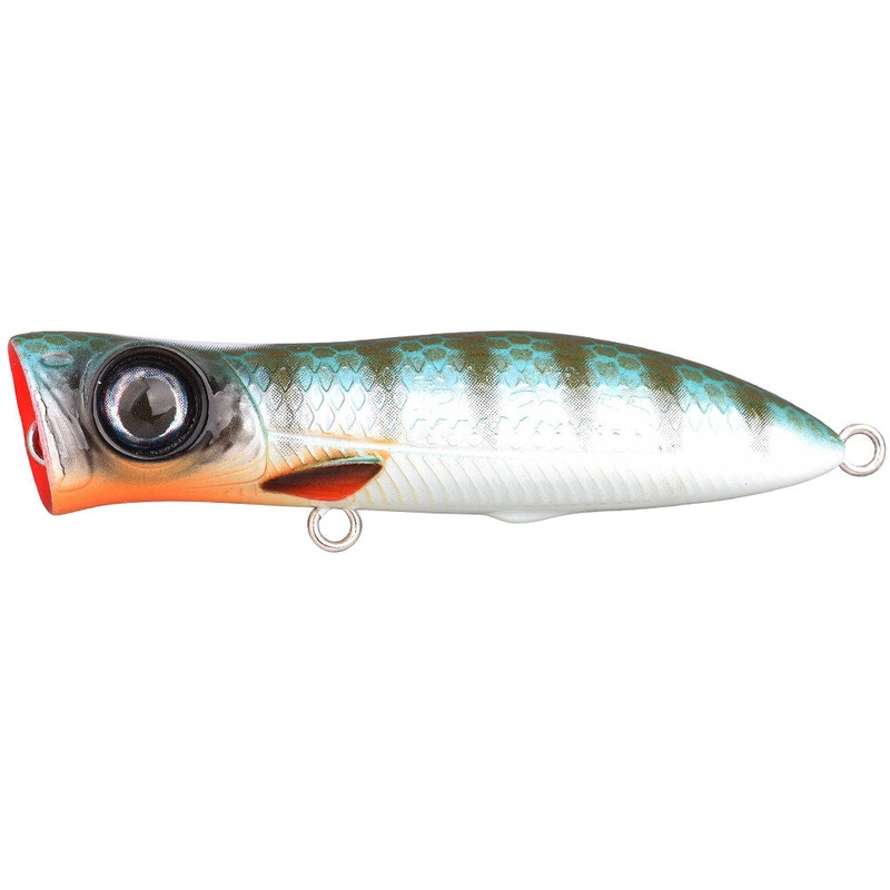 Iris Pop 55|Firetiger|Herring|Perch|Rainbow Trout|Roach|Vairon
