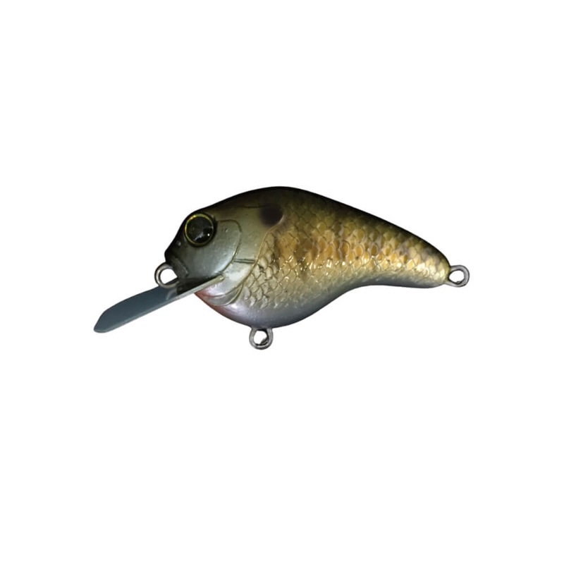 Gillbokkuri|Chigill|Gold Gill|Matte Chart Gill|Noike Gill