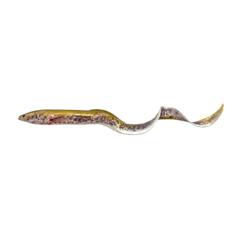 Real Eel|30 cm / 56 g|40 cm /147 g|Blue Fegis Eel|Chameleon Eel|Green Lamprey|Purple Eel