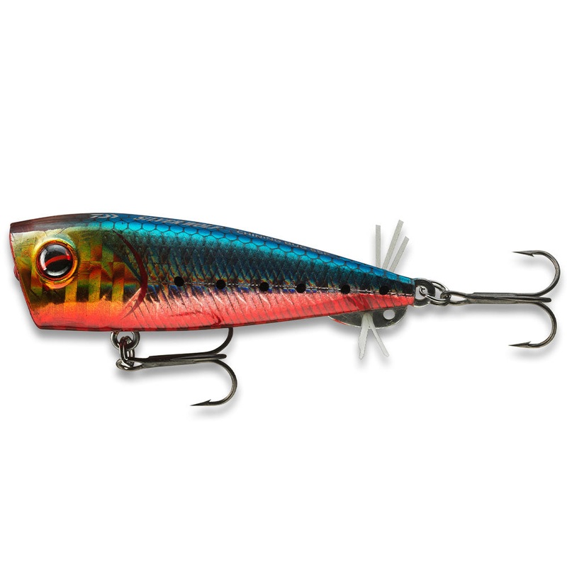 Prorex Chining Bug 55F|Eagle Red Belly|Green Gold Red Tail