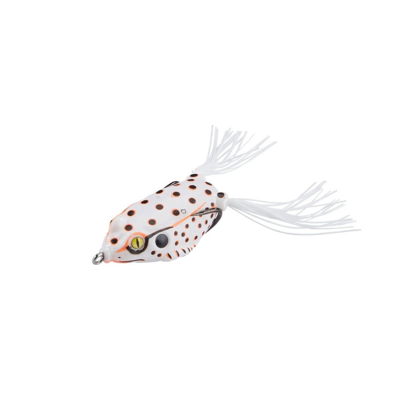 Killer Frog|Albino|Black Albino|Green Flash|Natural|Tropical