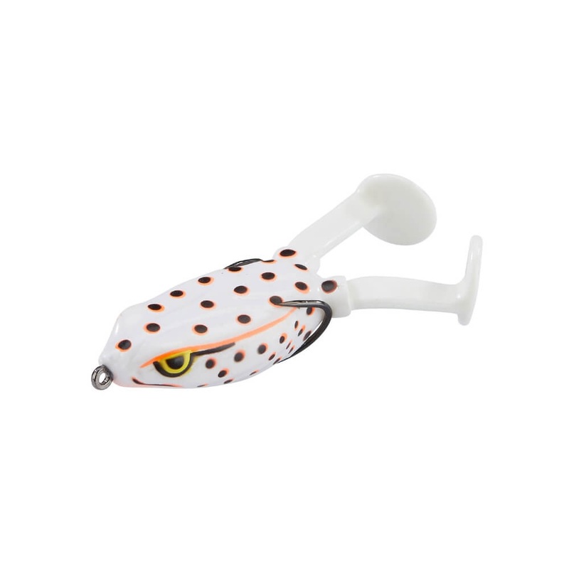 Paddle Frog|Albino|Black Albino|Green Flash|Tropical
