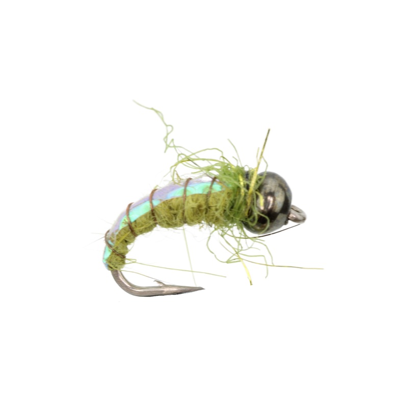 Olive Electric Caddis Fly Tying Material Kit, size 16 | Wild Water Fly Fishing
