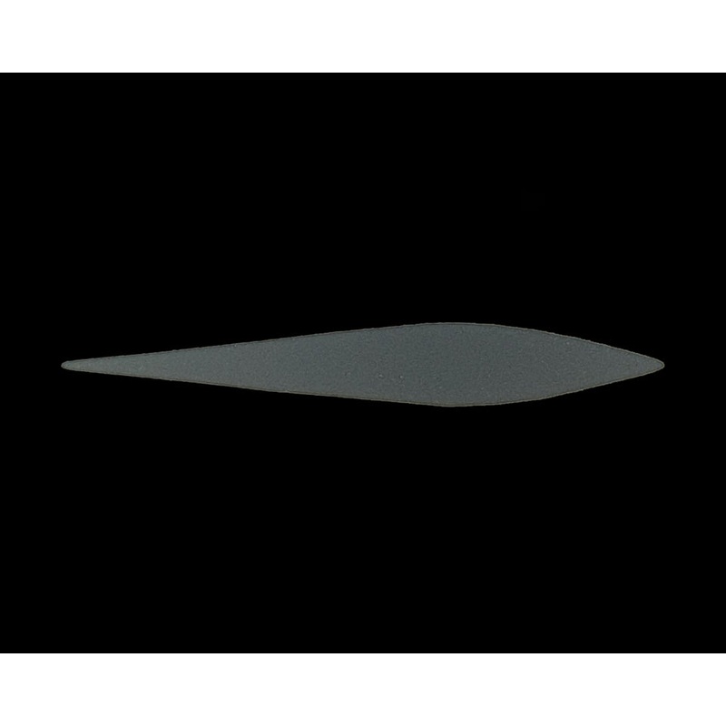 Fishon Pacchiarini’s Wave Tails