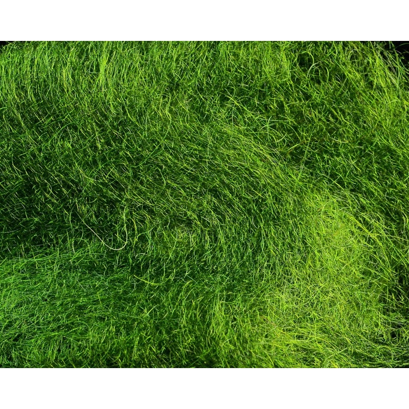 Hareline STS Trilobal Dub|Black|Bloody Black Leech|Brown Stone|Burnt Orange|Caddis Green|Cinnamon Caddis|Claret|Damsel Green|Dark Brown|Dark Olive|Fiery Brown|Fluorescent Cerise|Fluorescent Chartreuse|Fluorescent Flame|Fluorescent Orange|Fluorescent Pink|