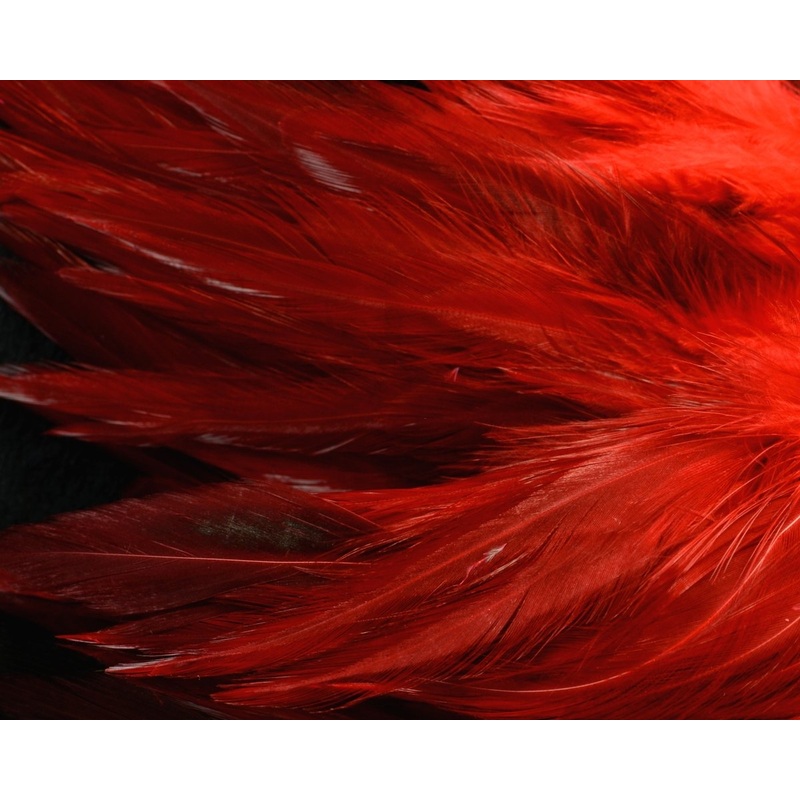 Hareline Wooly Bugger Saddle Hackle 6-7 inch