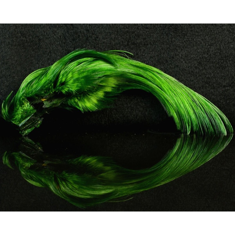 Nature’s Spirit Golden Pheasant Crest