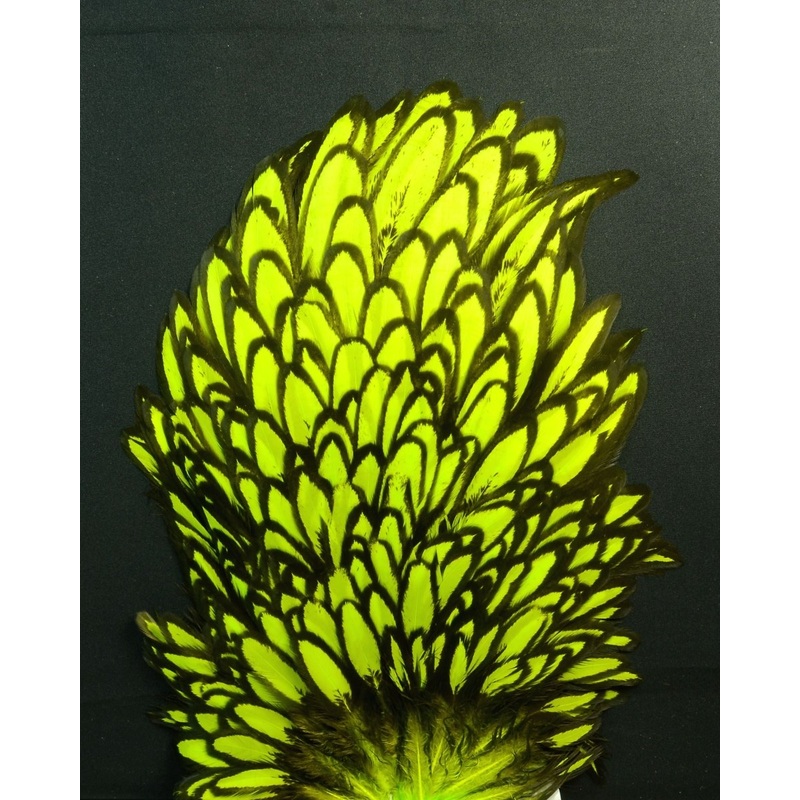 Whiting Farms American Hen Saddle