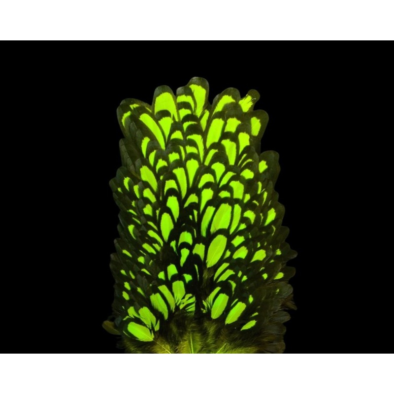 Whiting Farms American Hen Saddle