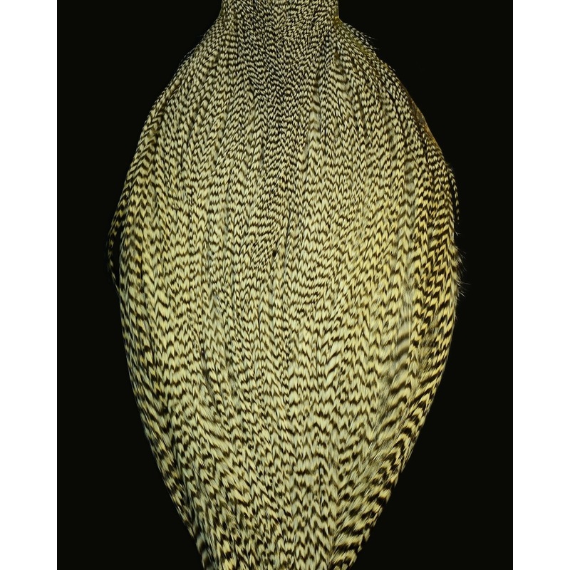 Root River Cape|Barred Ginger|Black|Black and Grizzly|Brown|Brown and Grizzly|Golden Badger|Grizzly|Matrix|Silver Badger|White|Grade 2|Grade 3|Grade 1