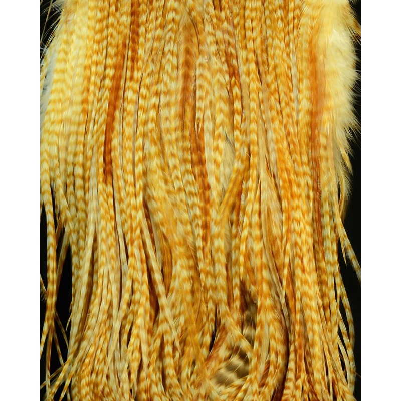Root River Saddle|Barred Ginger|Blue Dunn|Golden Badger|Grizzly|Silver Badger|Grade 2|Grade 3