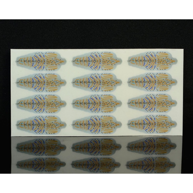 The Fly Co. Shrimp Shells|Small|Medium|Grey|Peach|Pink|Tan