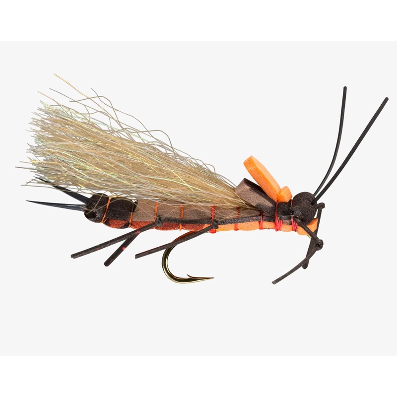 RIO’s Juicy Stone – Salmonfly||8||6||4