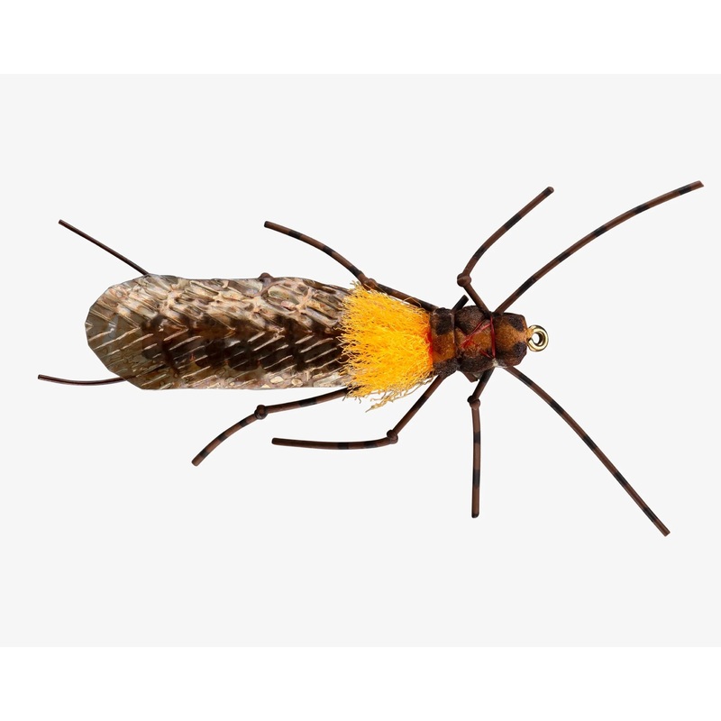 Rio’s Morrish Still Stone – Salmonfly / Golden